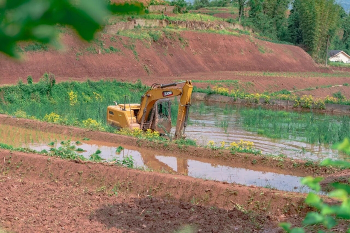 衰֡bbinӯڻУháng