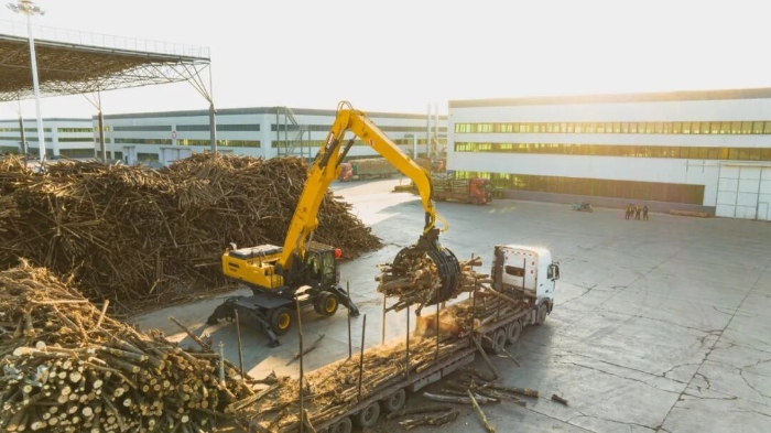 ����������?�����ֵ����ϳ�����ץ�𡱲���׽�󡱣�