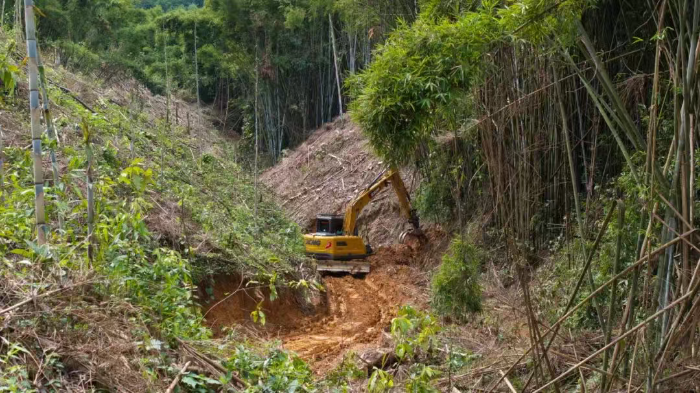 �ּ䡰���������񺣡��Ի�������bbin��ӯ��ҵ�ڻ�����������