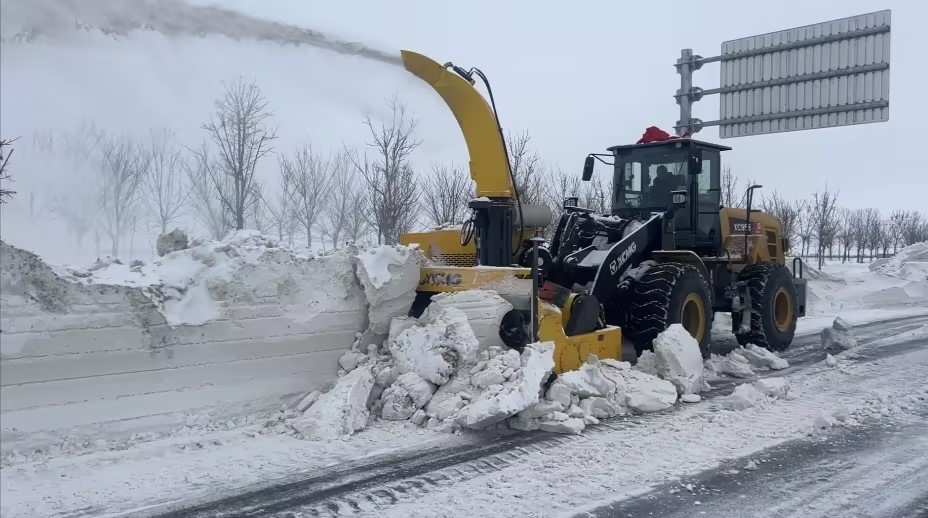 BBIN����ӯ����(�й�)���޹�˾