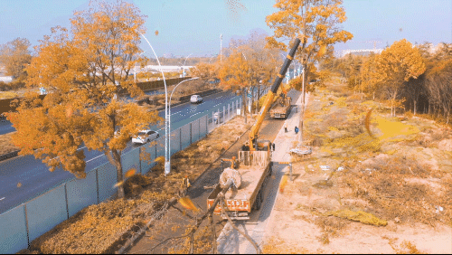 BBIN����ӯ����(�й�)���޹�˾