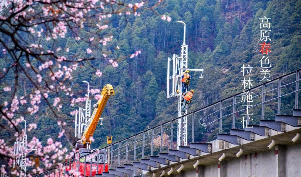 BBIN����ӯ����(�й�)���޹�˾