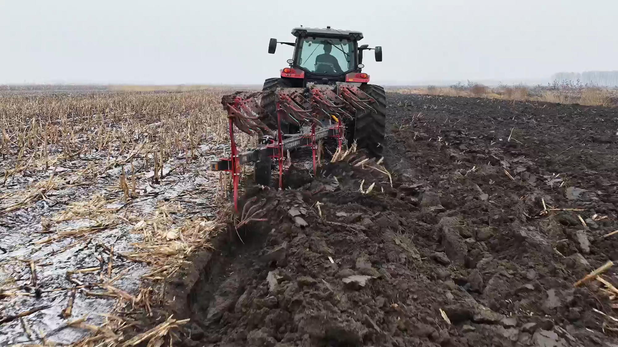 BBIN����ӯ����(�й�)���޹�˾